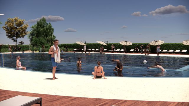 Abords de la piscine - Concept Piscine Tir aux pigeons